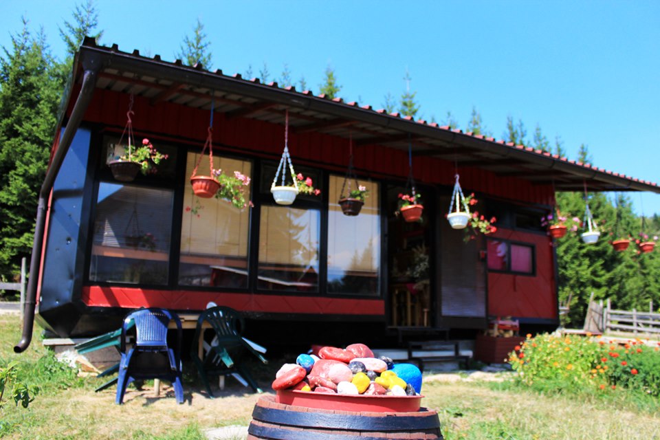 Novka Bučevac