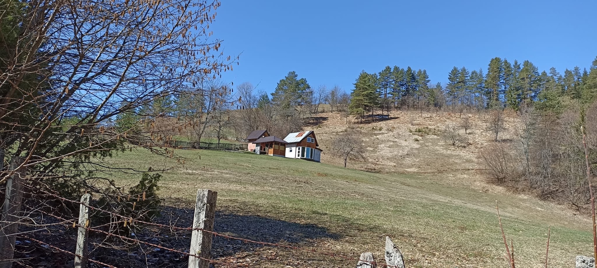 Budozelje6