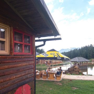 dolina7.jpg