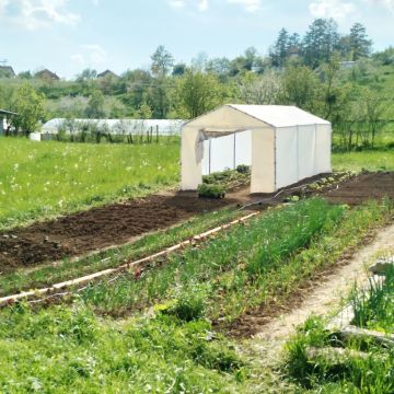 garten im Mai 2.jpg